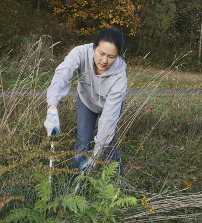 Becky Uchimura spruces up the trail near Four Corners during Make A Difference Day in Maple Valley.