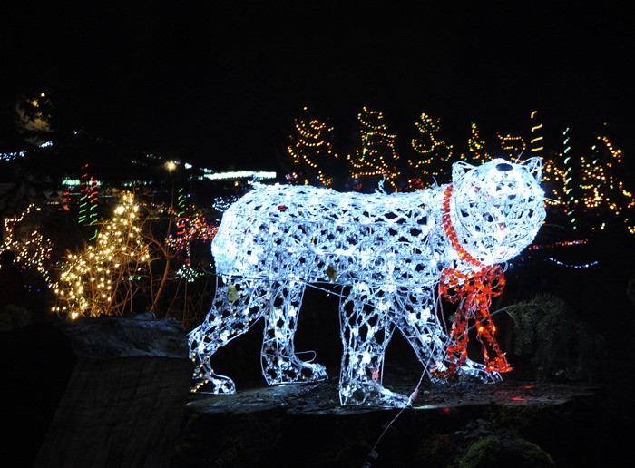 The Lake Wilderness Arboretum Christmas light displays were enjoyed by a large crowd Dec. 1.