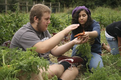 Josh Bates and Carla Trujillo pick carrots in the garden Thursday at the Jack Hunter O'Dell Education Center in Covington.