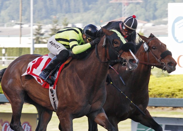Class Included (No. 1) edges Elusive Noise in the $50