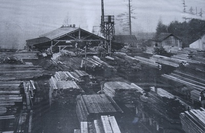The Calhoune-Kraus Sawmill began operation at the current site of the Calhoun Pit in 1902 in Covington.