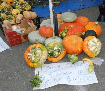 The Maple Valley Farmers' Market ended its first season Saturday.
