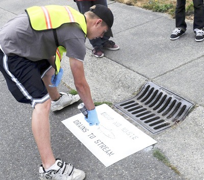Boy Scouts stencil messages on storm water drains in Maple Valley.