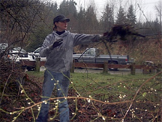 Emily Sundstrom throws branches at the Maple Valley Rotary Fred V. Habenicht Park cleanup event Saturday morning.