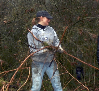 Emily Sundstrom pulls branches at the Maple Valley Rotary Fred V. Habenicht Park cleanup event Saturday morning.