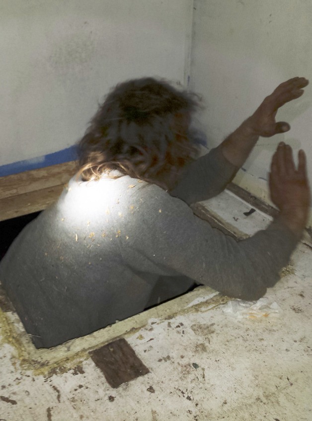 An Auburn fugitive exits a crawl space under a Kent home Saturday