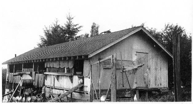 Aage Foss’ chicken barn was home to nesting boxes attached to walls for egg laying and collection
