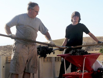 Illusion winery owner and winemaker Dave Guest (left) and his son Sam Guest manually transfer two tons of syrah wine grapes from harvest bins into the destemmer/crusher during the fall harvest in 2007. 2007 was the first time Illusion's Lyle