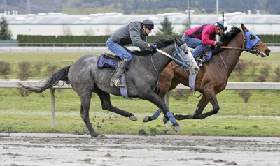 Trainers breeze their horses April 6 as opening day at Emerald Downs nears.