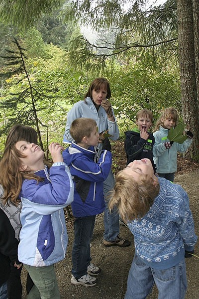 Students from Rock Creek Elementary visit the Tribal Life Trail at the Lake Wilderness Arboretum and pretend to drink water out of leaf cups.