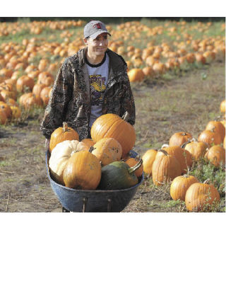 Paul Racy of Maple Valley wheels a load of gourds that he and his family – wife Sherry and children Tanner and Malorie – picked out at Mosby Brothers Farm’s pumpkin patch in Auburn Oct. 16 in preparation for Halloween.