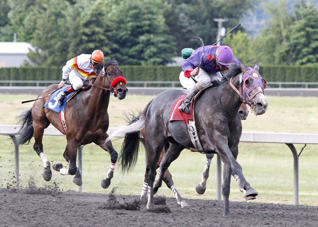Elttaes Stable's Aaron the Baron and jockey Leslie Mawing were the winning team Saturday in the feature race for 3-year-olds and up at Emerald Downs. June 2