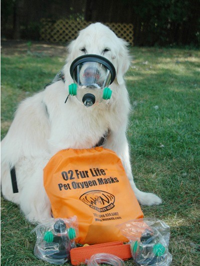 Maple Valley Fire & Life Safety receives free pet oxygen mask |  Covington-Maple Valley Reporter