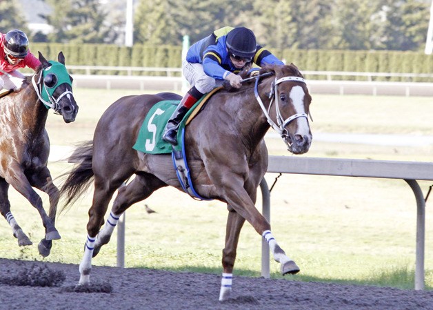Hollwyood Harbor in full flight to a world record of 1:00.87 for 5-1/2 furlongs in the $21