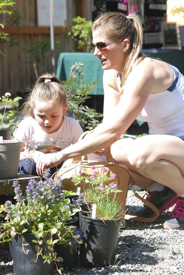 Five-year-old Charlie Leipheimer looks at flowers at the Lake Wilderness Arboretum plant sale Friday morning with her mom Elizabeth Leipheimer.