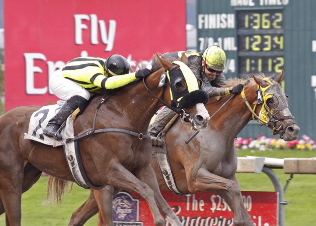 Sis's Sis beats Tapit So Lightly in the 2010 Irish Day Handicap