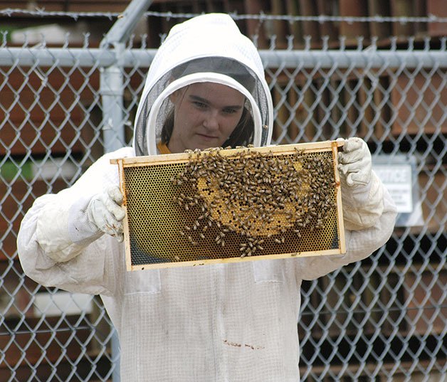 Natalie Holcomb of Bees in the ‘Burbs