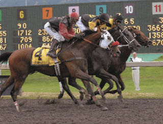 The three horses barrel down the stretch toward the wire during Sunday’s Longacres Mile at Emerald Downs. Jockey Jennifer Whitaker and Wasserman (4) come up on the outside