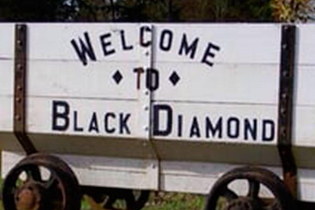 Stewardship plan for Black Diamond open space area