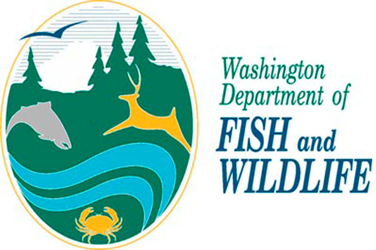 The Washington Fish and Wildlife Commission will take public comment on proposed hunting rules