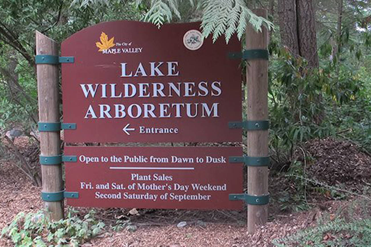 Explore Lake Wilderness Arboretum on Father’s Day weekend