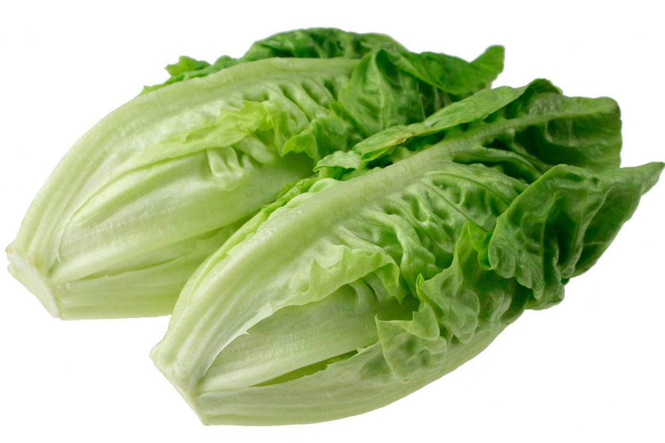 Five local cases of E. coli illness linked to lettuce