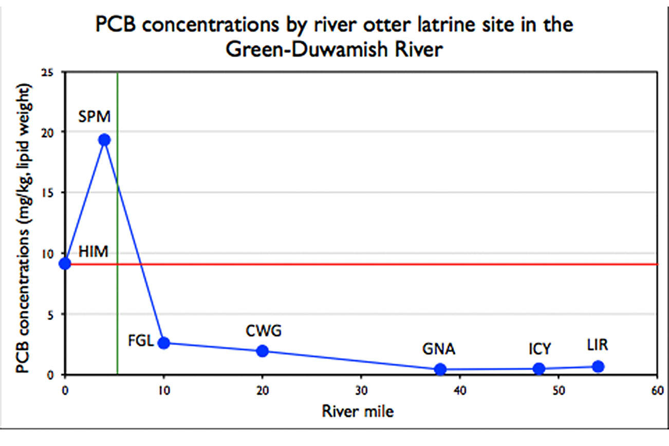 PCB concentrations from river otter scat collected at latrine sites (geometric means, lipid weights) along the Green-Duwamish River. Left of green vertical line represents Lower Duwamish Waterway. Red horizontal line denotes published threshold for adverse effects on river otters. Graph pulled from Otter Spotter website.