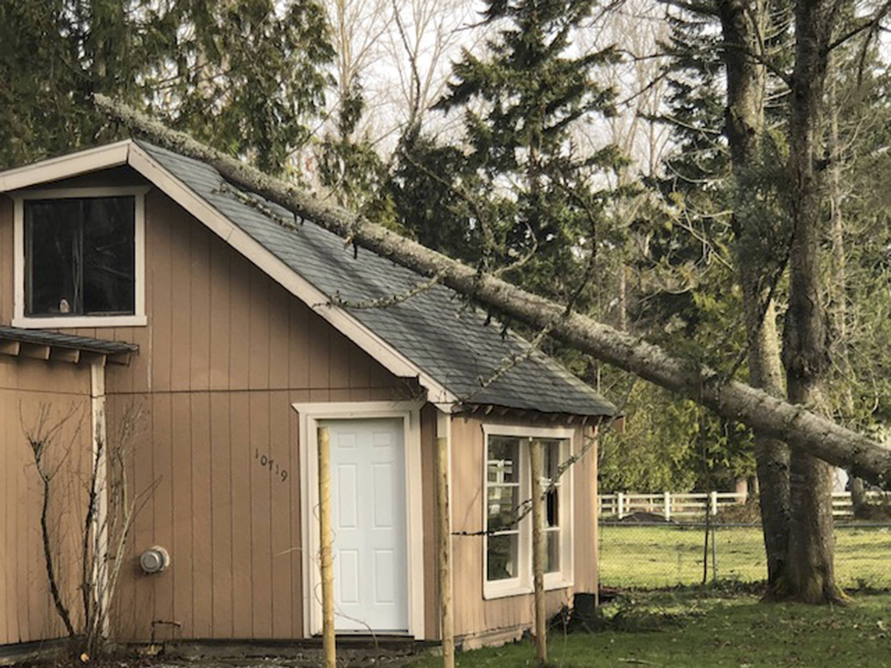 Bethany Alvarado, a Maple Valley resident, had a tree fall onto her home during the windstorm Jan. 6. Submitted photo from Bethany Alvarado