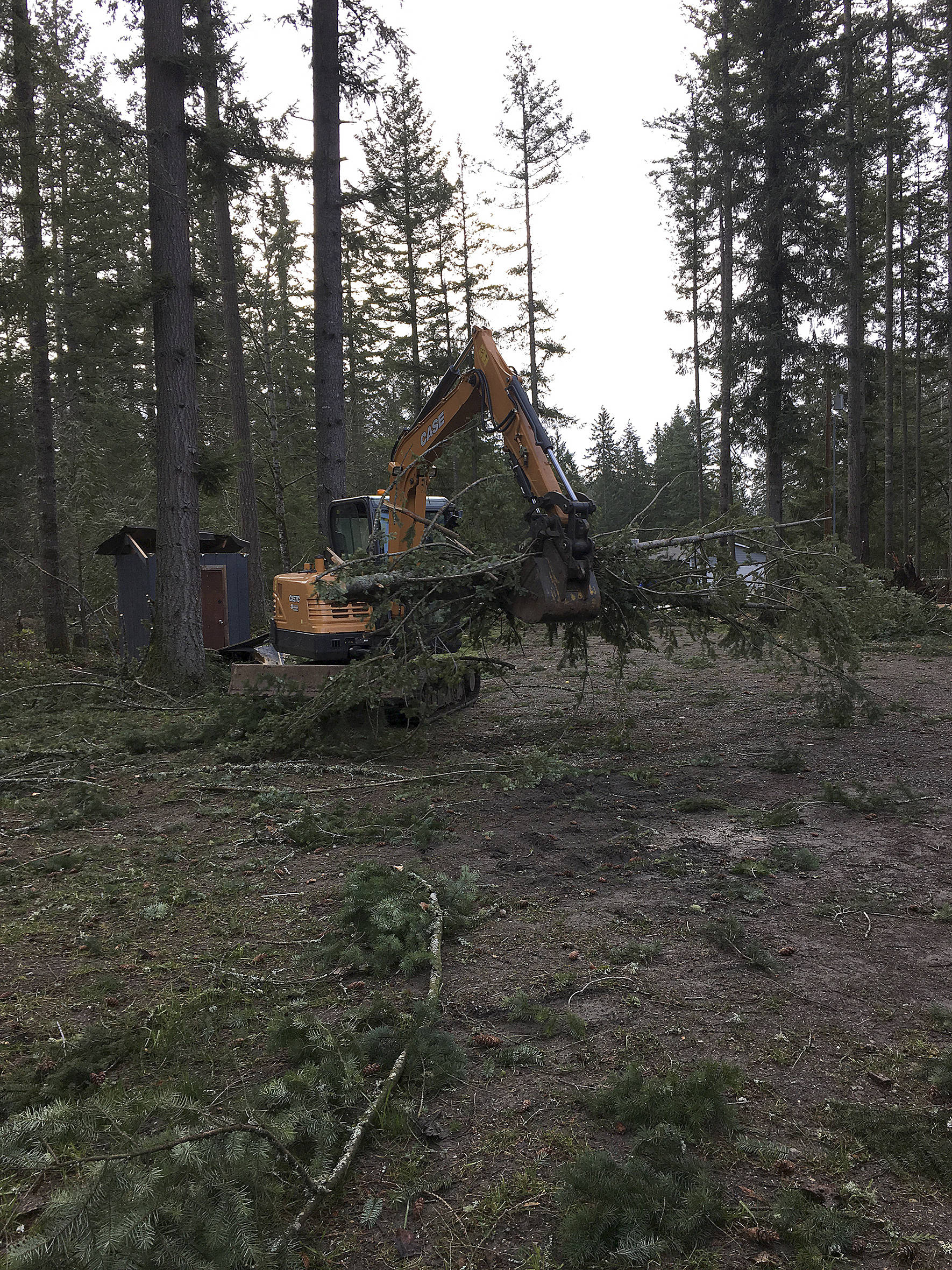 Maple Valley homeowner, Imogen Holmes, had five trees fall on her property during the windstorm Jan. 6. She and her husband used their neighbors excavator to move trees and debris from their property. Submitted photo from Imogen Holmes