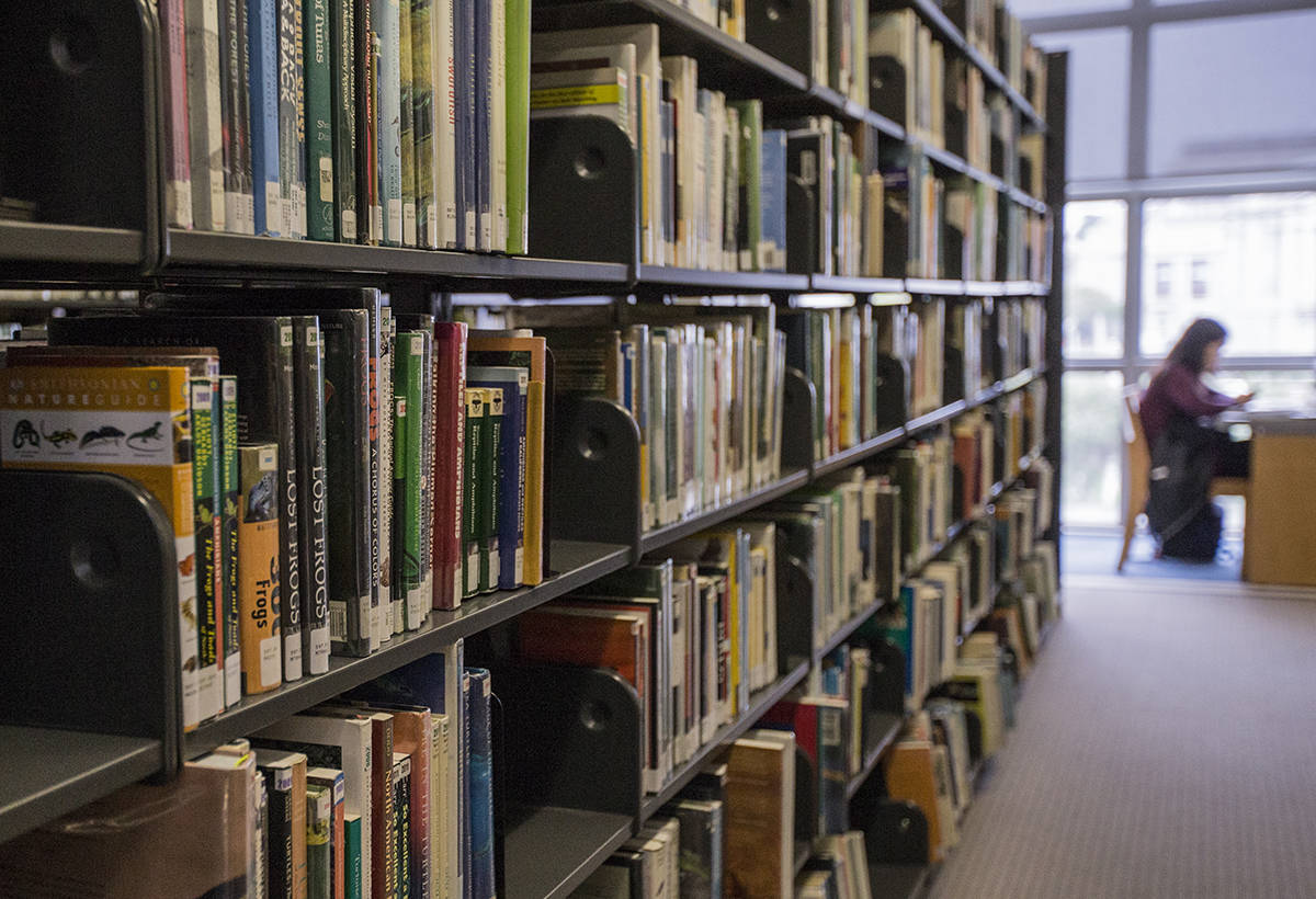 Why public libraries matter more than ever in the Information Age