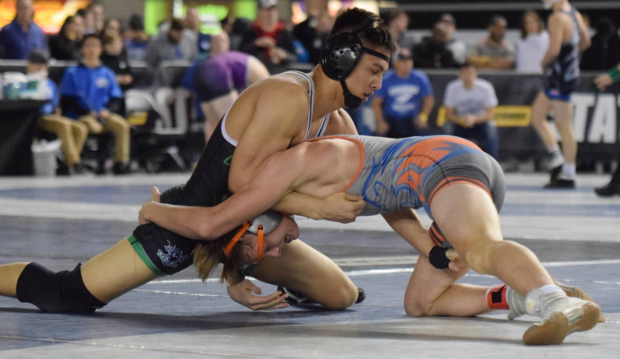Kentwood’s Alex Long, top, battles Auburn Mountainview’s Brennen Hanson during their 152-pound semifinal at Mat Classic XXXI at the Tacoma Dome on Saturday. Long pulled out a 4-3 decision to reach the final. RACHEL CIAMPI, Kent Reporter
