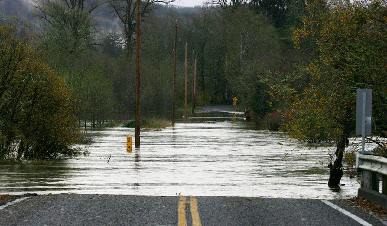 Wenzel Slough Road at Vance Creek in southwest Washington was made impassible on Nov. 18, 2015, due to flood waters. Corey Morris/The Vidette