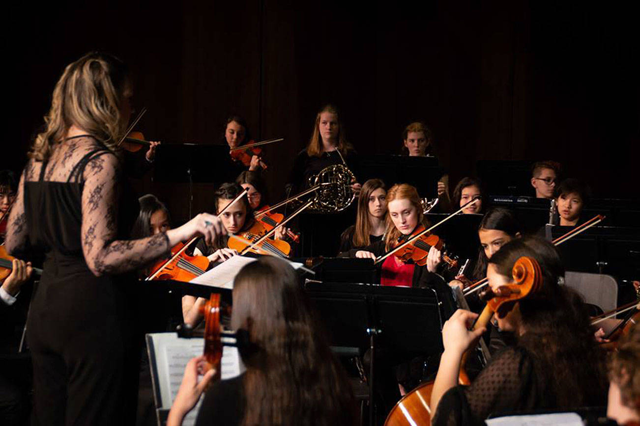 The Maple Valley Youth Symphony Orchestra presents “Sunday Afternoon by the Sea” at 2 p.m. May 19 at the Tahoma High School Performing Arts Center. Courtesy photo