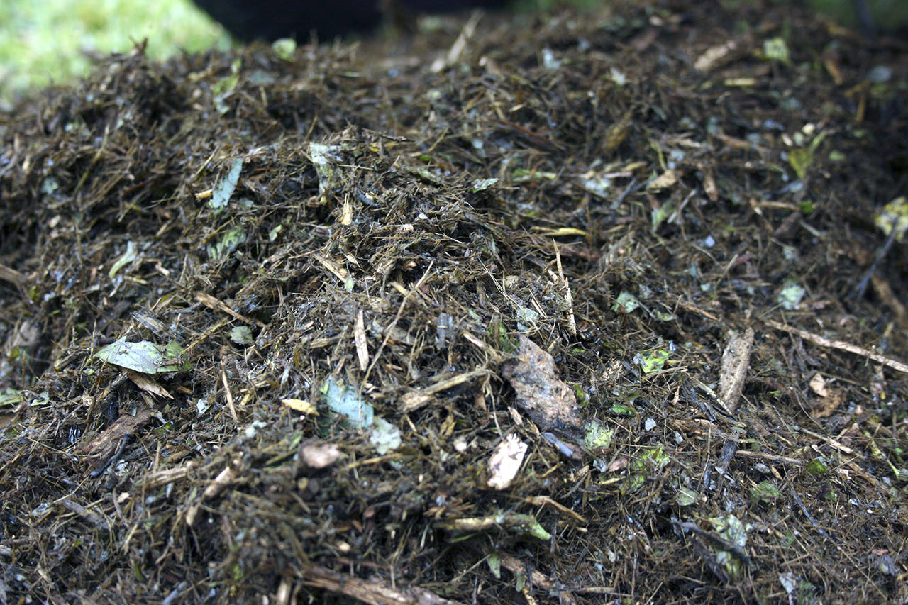 King County is considering ways to increase both the supply of and demand for compost to help divert organic material from the landfill. File photo