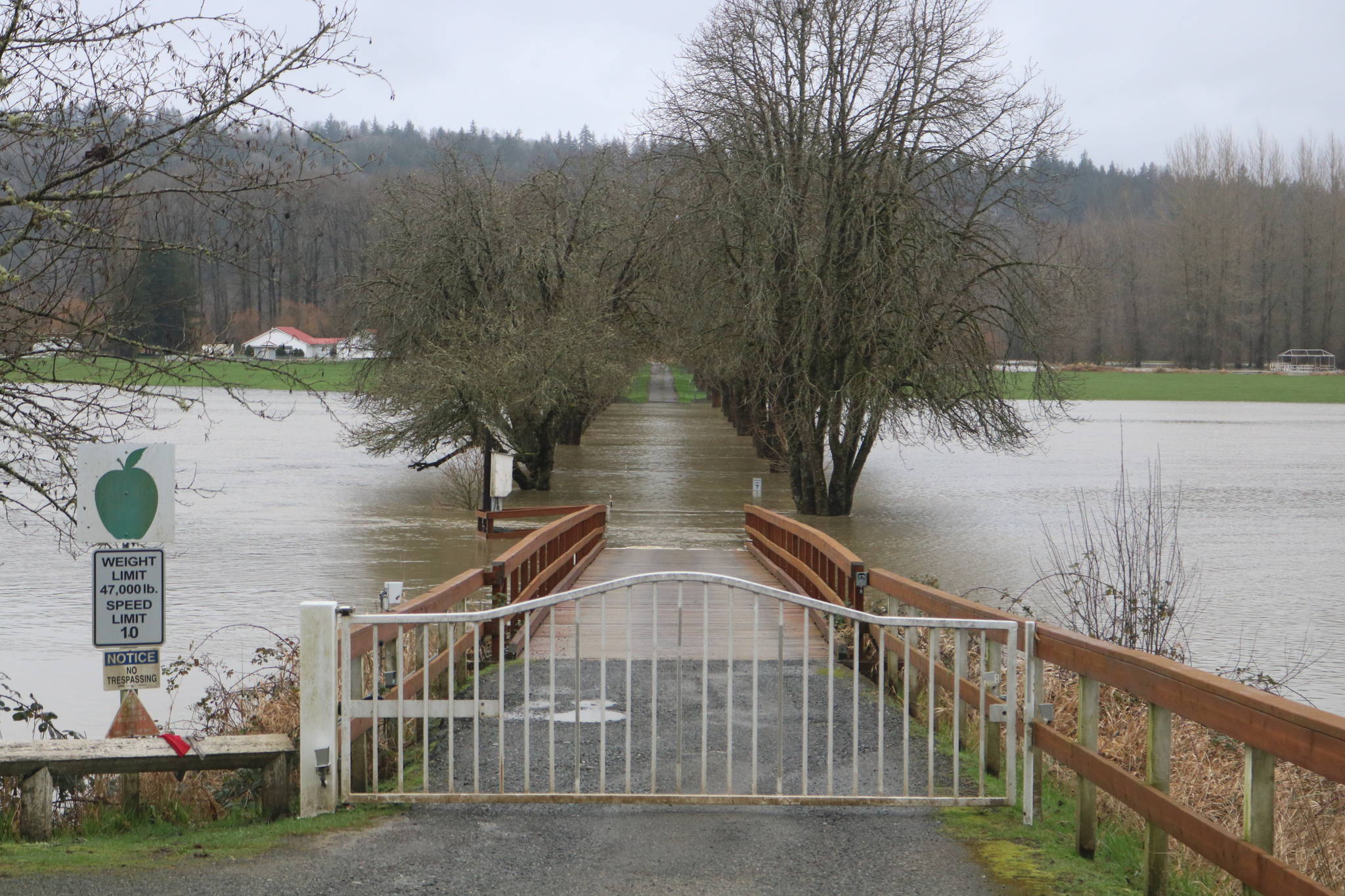 Much of Carnation Farms property was underwater on Feb. 7, 2020 after days of rain pushed the Snoqualmie River over its banks. Aaron Kunkler/staff photo