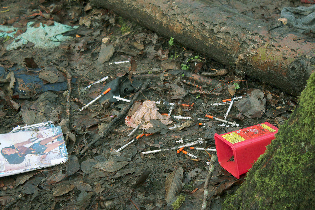 Needles littered the ground throughout a homeless encampment at Federal Way’s Hylebos Wetlands, which is public property. Sound Publishing file photo