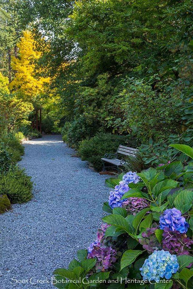 Located in Auburn, Soos Creek Botanical Garden and Heritage Center is a garden of many colors and textures with a broad field of interest for all ages.