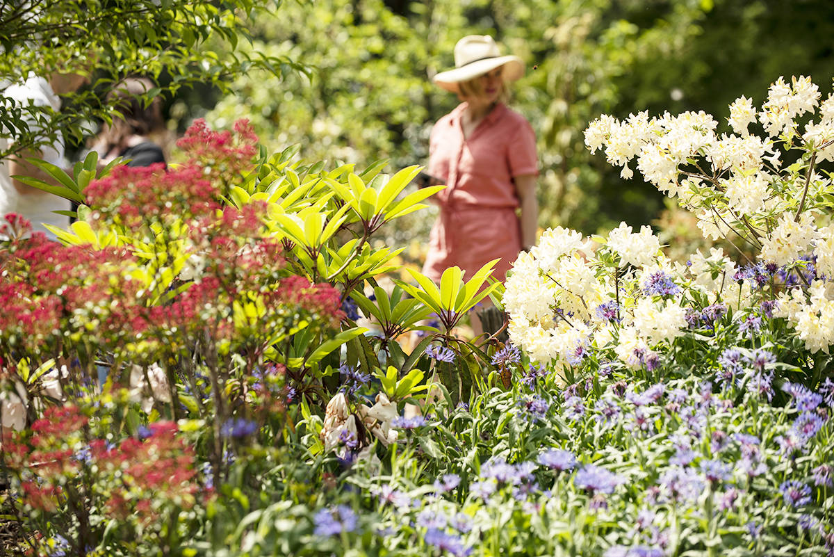 Discover 6 beautiful botanical spaces in this garden paradise
