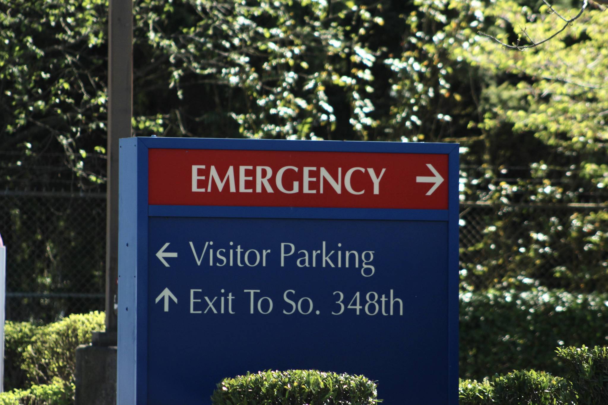St. Francis Hospital in Federal Way. Olivia Sullivan/staff photo