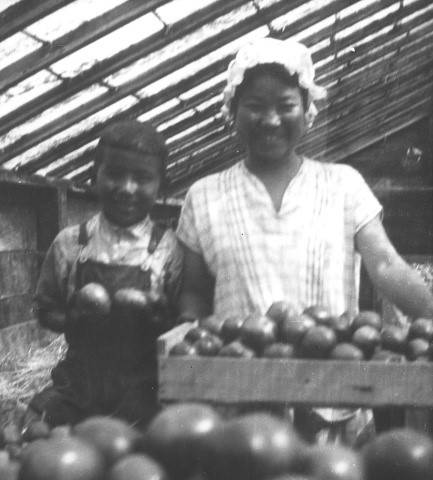 Two members of the Uyeji family in their greenhouse during the 1930s. Their home and farm were on the site of the current Seattle Archives facility. Photos from Densho, Uyeji Collection.