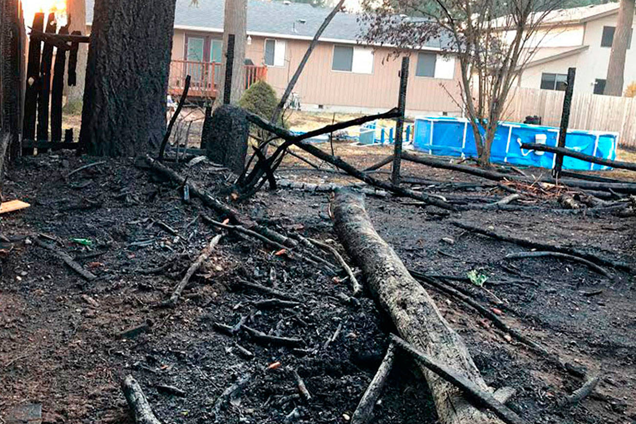 Crews extinguish large brush fire in Covington | Photos