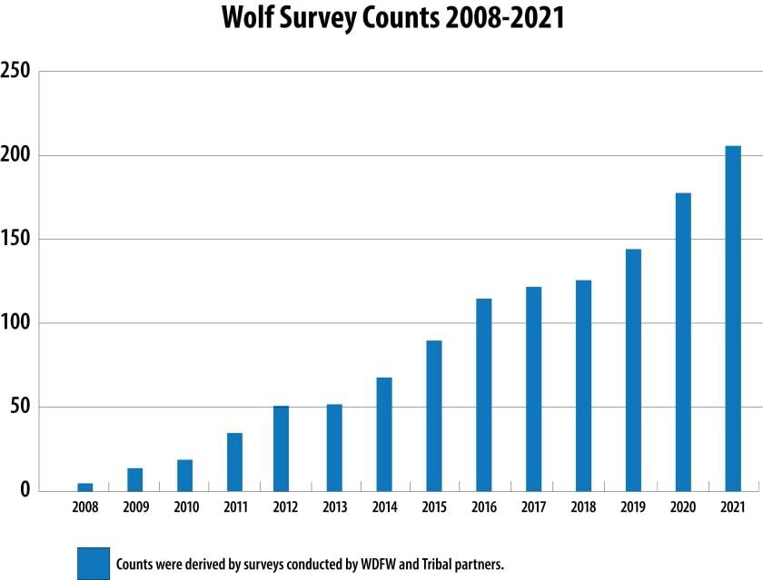 Growth in Washington wolf populations from 2008 to 2021. Courtesy of WDFW