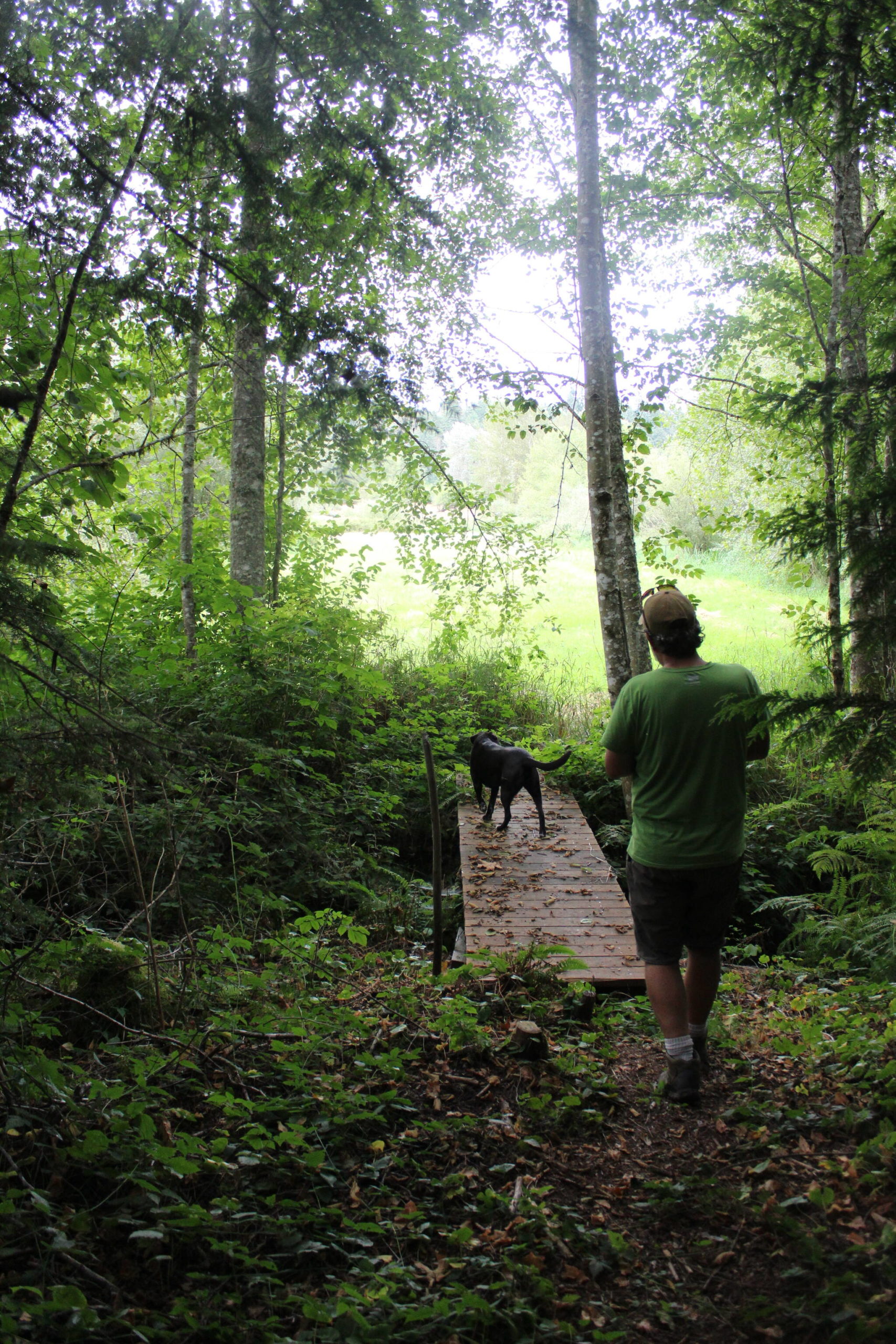 Jay Mirro and one of the family dogs walk across a handmade bridge that’s equipped with a trail cam. Photo by Bailey Jo Josie/Sound Publishing.
