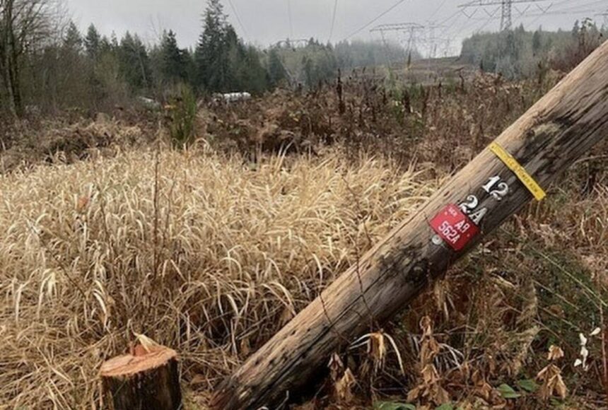 <p>A scene of the recent vandalism to electrical infrastructure near Renton. Photo courtesy of King County Sheriff’s Office</p>