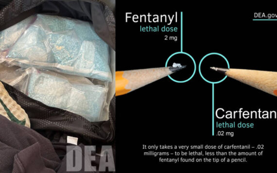 Courtesy photos 
A photo from the seizure and a photo showing carfentanil’s lethality.