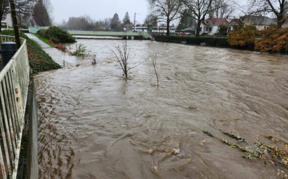 The Cedar River near Wells Avenue in Renton, as seen Wednesday, Dec. 10. Photo courtesy of Patrick Stevens.