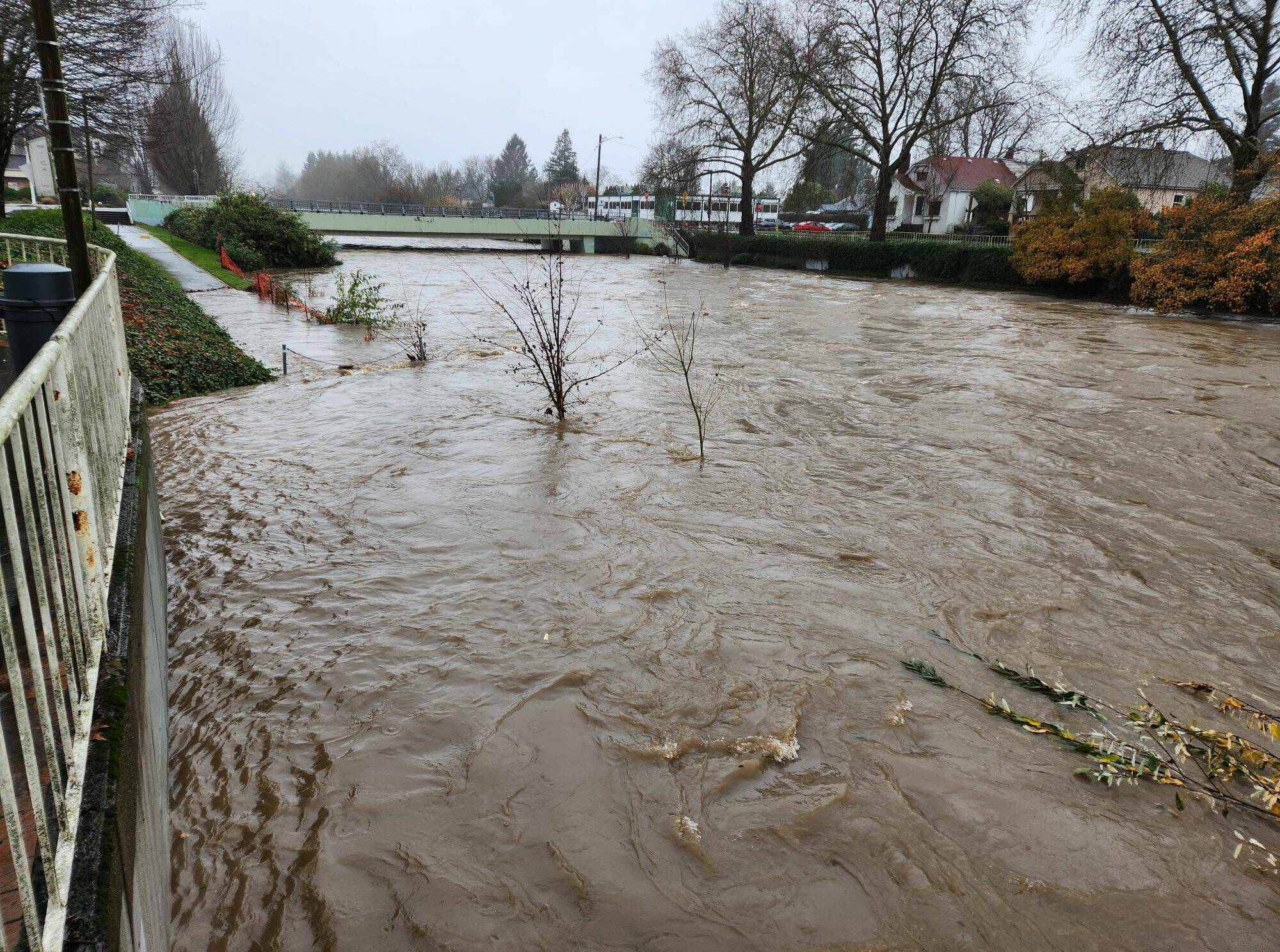 The Cedar River near Wells Avenue in Renton, as seen Wednesday, Dec. 10. Photo courtesy of Patrick Stevens.