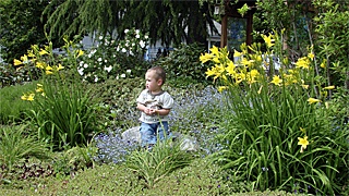 A child plays in an organic