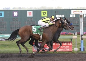 Michael and Amy Feuerborn of Maple Valley are hoping for a victory with Gallon in the Mt. Rainier Handicap.