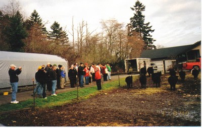 People from around the world come to the Happy Mountain Farm in Covington to learn about the miniature cow breeding program from Richard Gradwohl